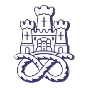 Newcastle Town FC
